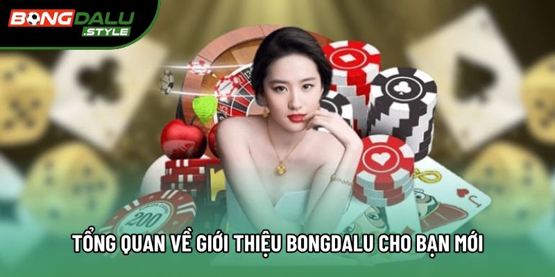 Tổng quan về giới thiệu bongdalu cho bạn mới Tổng quan về giới thiệu bongdalu cho bạn mới